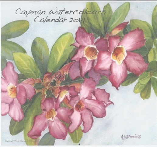 2014 Cayman Watercolours Calendar cover