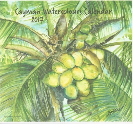 2017 Cayman Watercolours Calendar cover