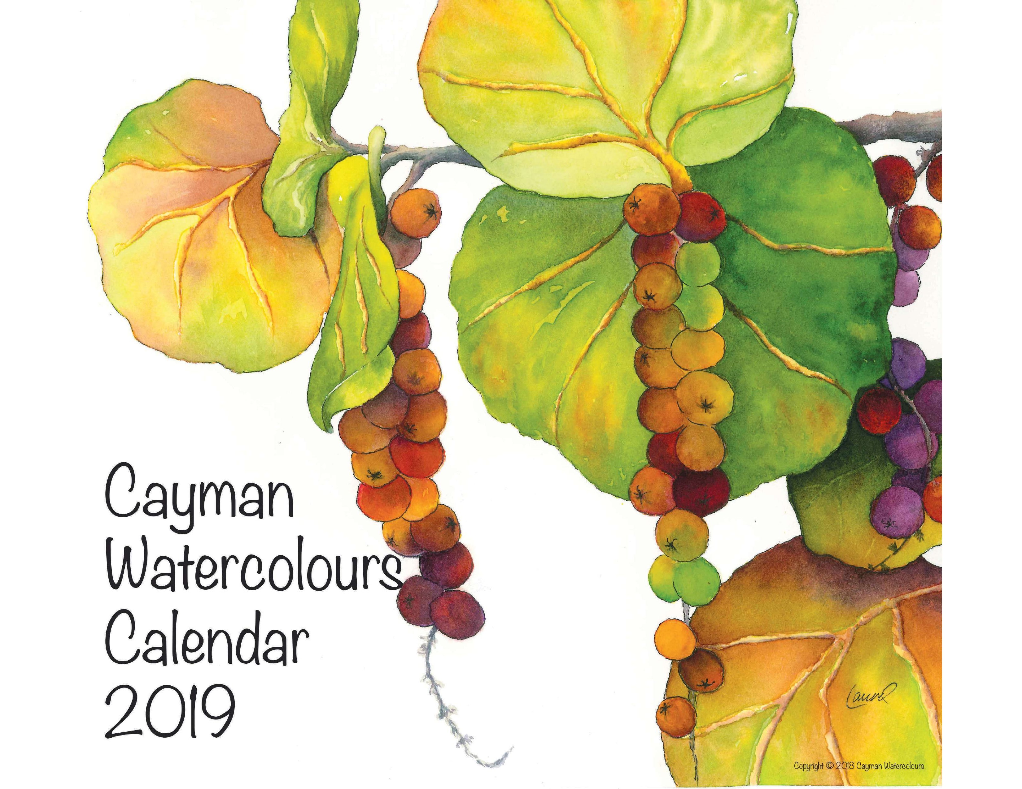 2019 Cayman Watercolours Calendar cover
