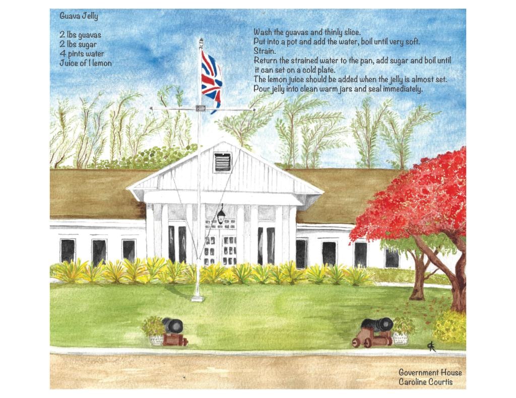 Government House