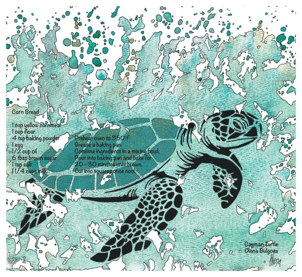 Cayman Turtle